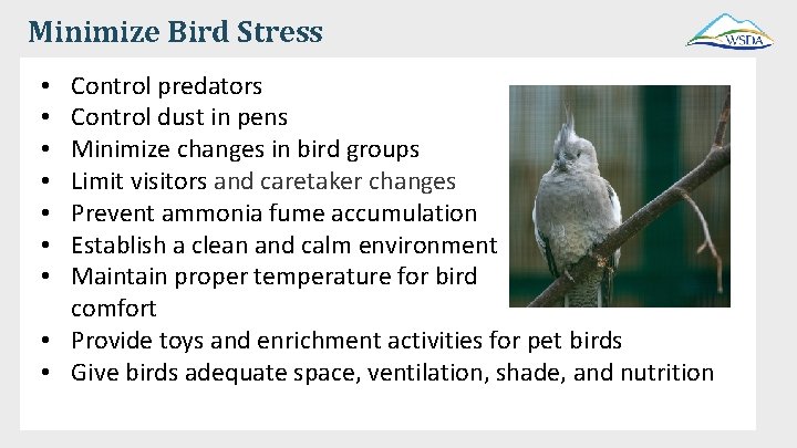 Minimize Bird Stress Control predators Control dust in pens Minimize changes in bird groups