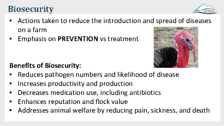 Biosecurity • Actions taken to reduce the introduction and spread of diseases on a