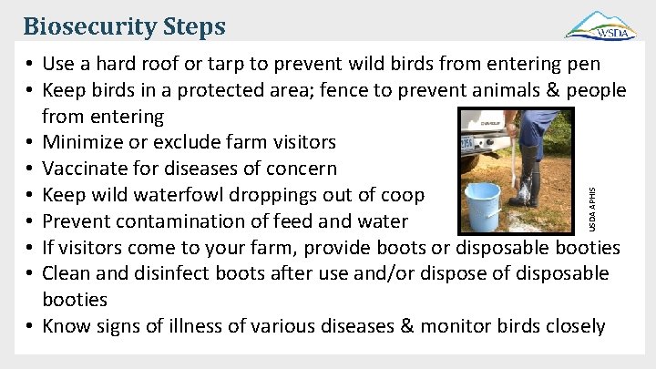 Biosecurity Steps USDA APHIS • Use a hard roof or tarp to prevent wild