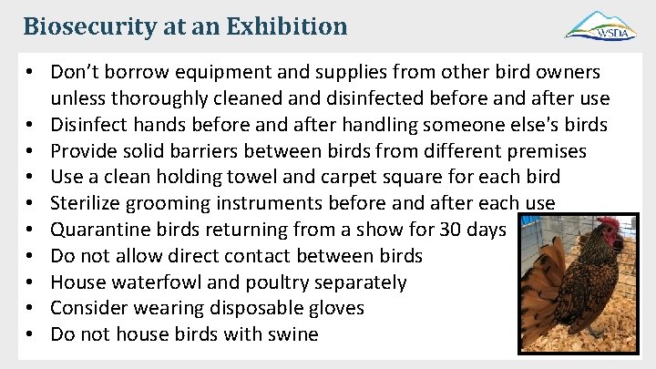 Biosecurity at an Exhibition • Don’t borrow equipment and supplies from other bird owners