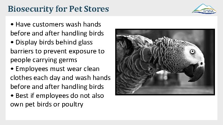 Biosecurity for Pet Stores • Have customers wash hands before and after handling birds