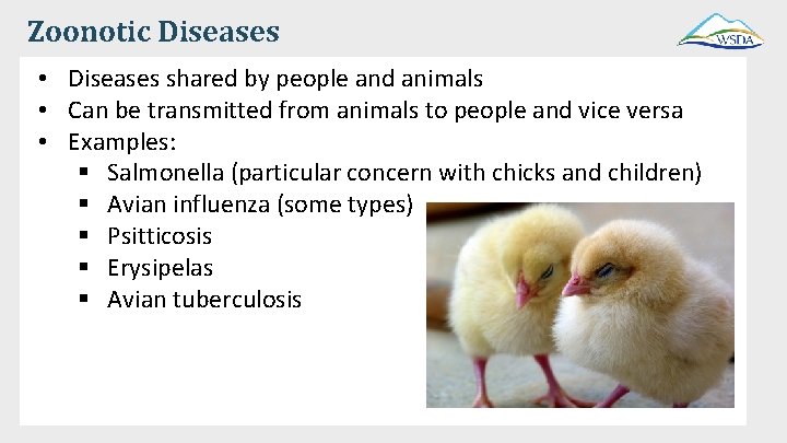 Zoonotic Diseases • Diseases shared by people and animals • Can be transmitted from