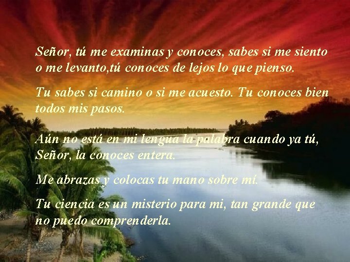 Señor, tú me examinas y conoces, sabes si me siento o me levanto, tú