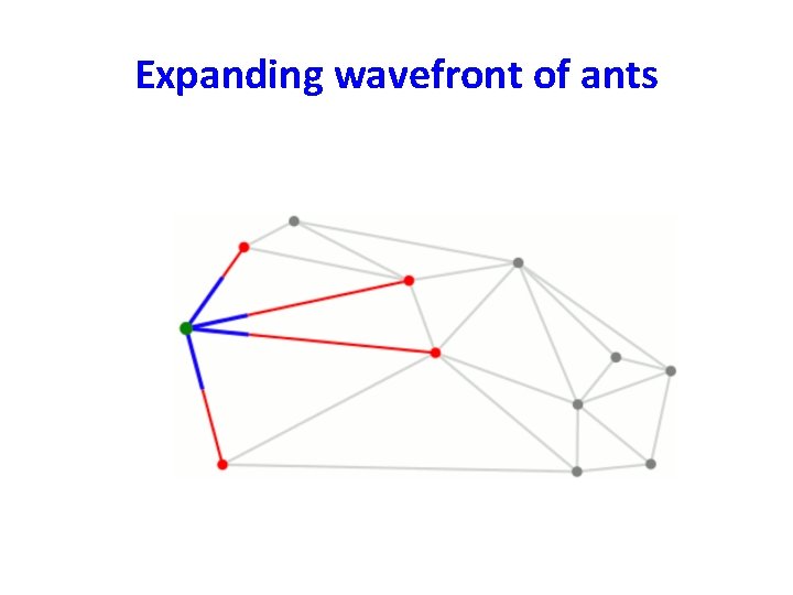 Expanding wavefront of ants 