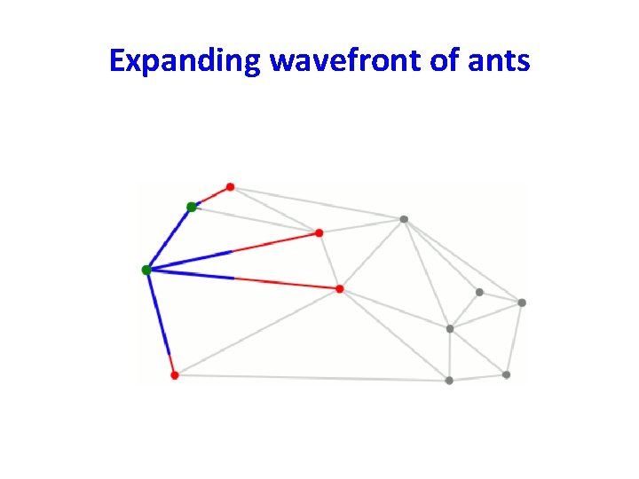 Expanding wavefront of ants 