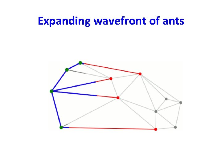 Expanding wavefront of ants 