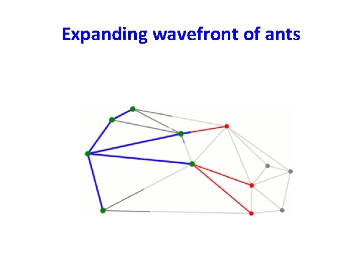 Expanding wavefront of ants 