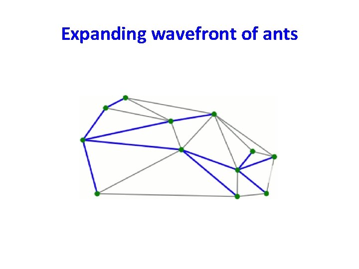 Expanding wavefront of ants 