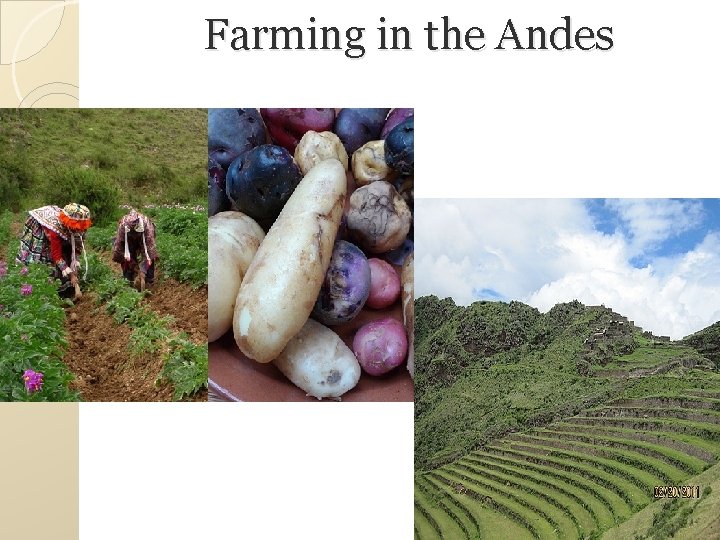 Farming in the Andes 