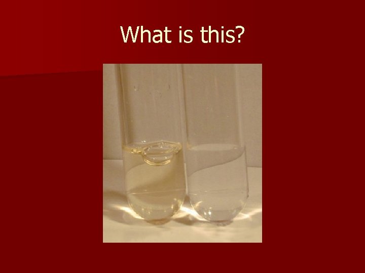 What is this? What is this?