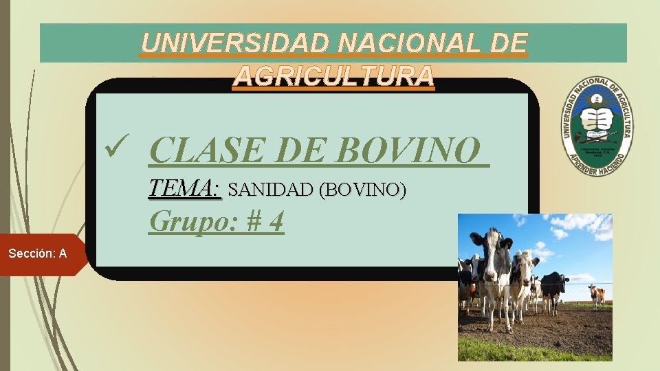 UNIVERSIDAD NACIONAL DE AGRICULTURA CLASE DE BOVINO TEMA: SANIDAD (BOVINO) Grupo: # 4 Sección:
