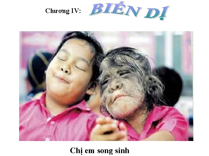 Chương IV: Chị em song sinh 