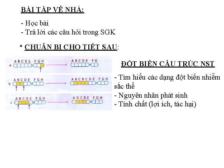 BÀI TẬP VỀ NHÀ: - Học bài - Trả lời các câu hỏi trong