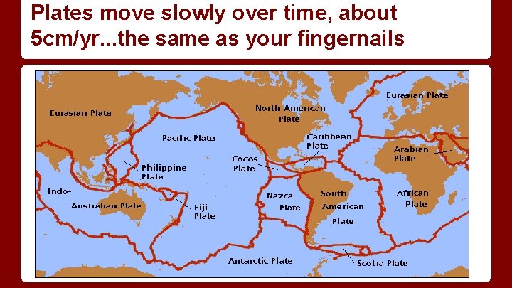 Plates move slowly over time, about 5 cm/yr. . . the same as your Plates move slowly over time, about 5 cm/yr. . . the same as your