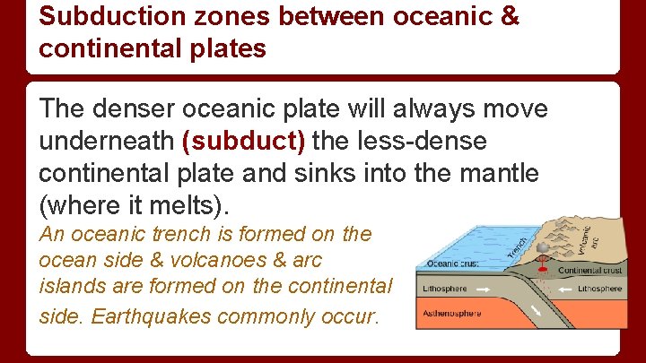 Subduction zones between oceanic & continental plates The denser oceanic plate will always move Subduction zones between oceanic & continental plates The denser oceanic plate will always move