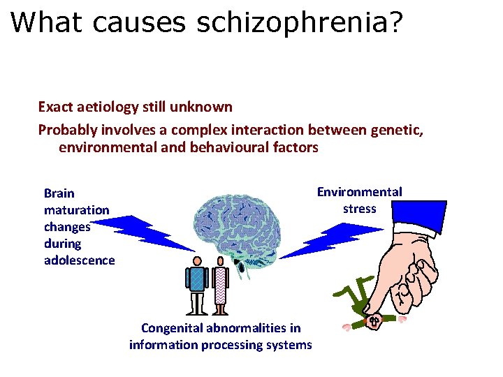 What causes schizophrenia? Exact aetiology still unknown Probably involves a complex interaction between genetic,
