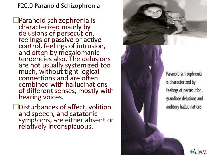 F 20. 0 Paranoid Schizophrenia �Paranoid schizophrenia is characterized mainly by delusions of persecution,