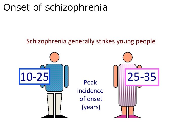 Onset of schizophrenia Schizophrenia generally strikes young people 10 -25 Peak incidence of onset