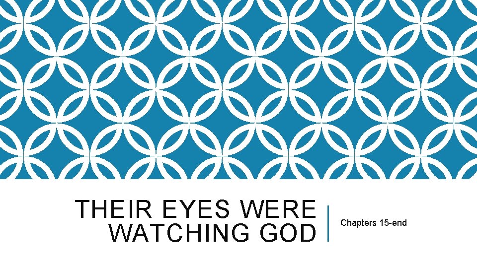 THEIR EYES WERE WATCHING GOD Chapters 15 -end 