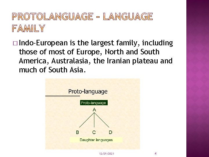 � Indo-European is the largest family, including those of most of Europe, North and