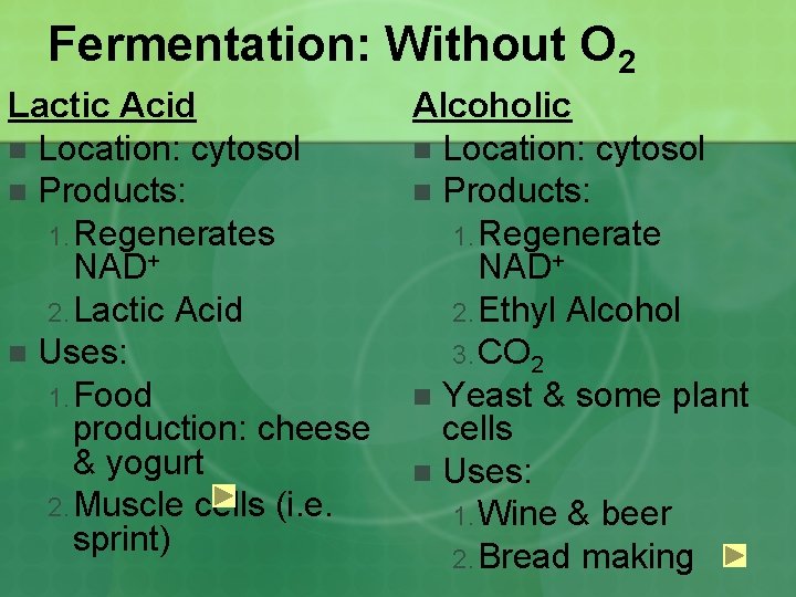 Fermentation: Without O 2 Lactic Acid n Location: cytosol n Products: 1. Regenerates NAD+