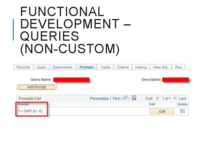 FUNCTIONAL DEVELOPMENT – QUERIES (NON-CUSTOM) 