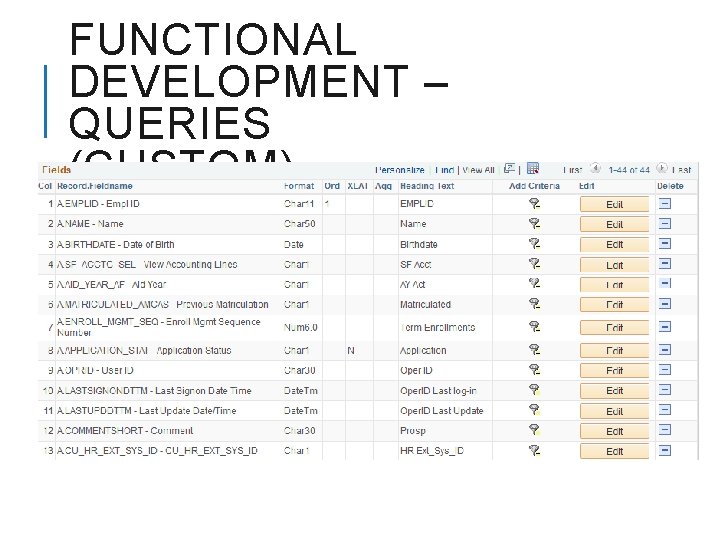FUNCTIONAL DEVELOPMENT – QUERIES (CUSTOM) 