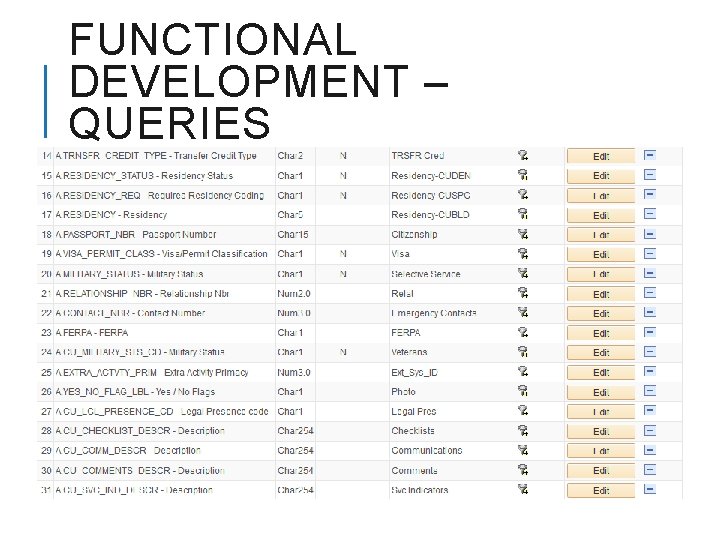 FUNCTIONAL DEVELOPMENT – QUERIES (CUSTOM) 