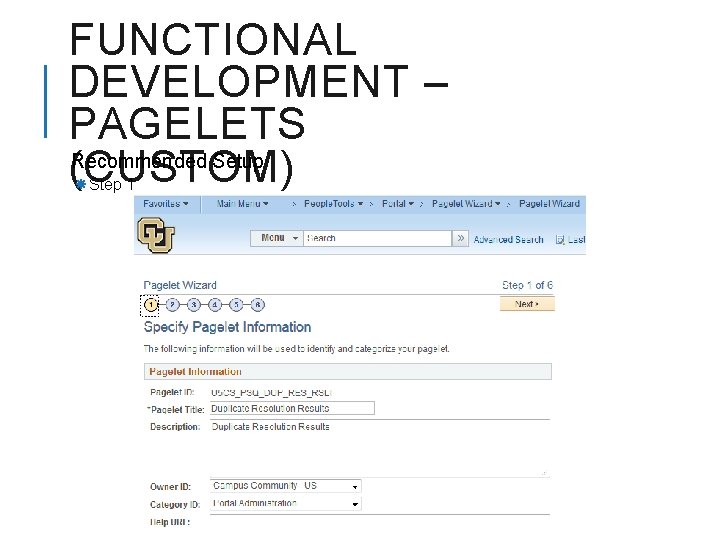 FUNCTIONAL DEVELOPMENT – PAGELETS Recommended Setup (CUSTOM) Step 1 