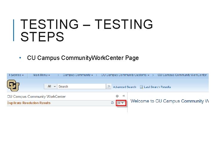 TESTING – TESTING STEPS • CU Campus Community. Work. Center Page 