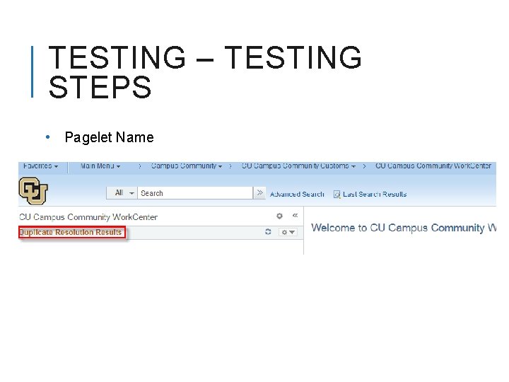 TESTING – TESTING STEPS • Pagelet Name 