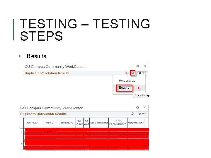 TESTING – TESTING STEPS • Results 