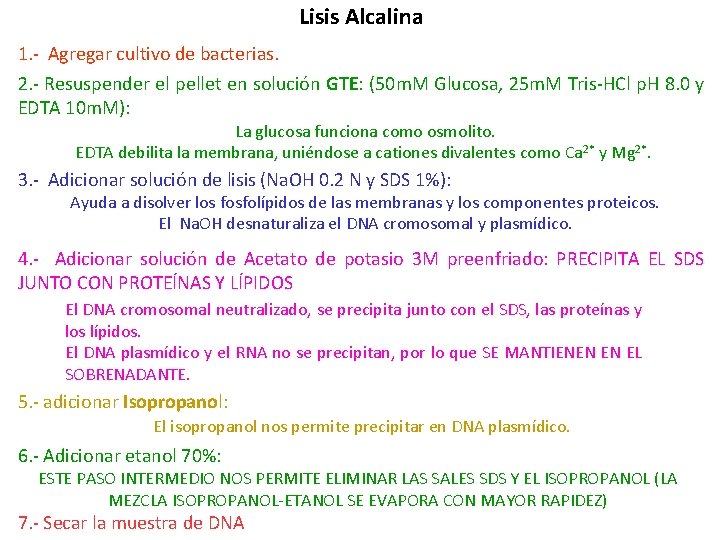 Lisis Alcalina 1. - Agregar cultivo de bacterias. 2. - Resuspender el pellet en