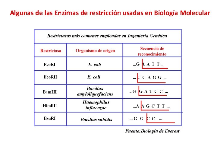 Algunas de las Enzimas de restricción usadas en Biología Molecular 