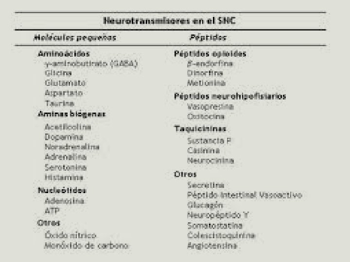 NEUROTRANSMISORES 