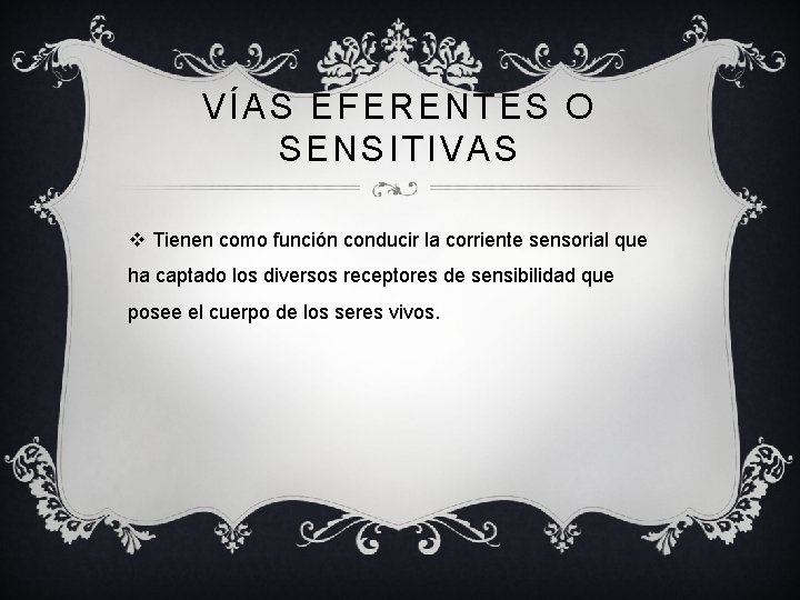 VÍAS EFERENTES O SENSITIVAS v Tienen como función conducir la corriente sensorial que ha