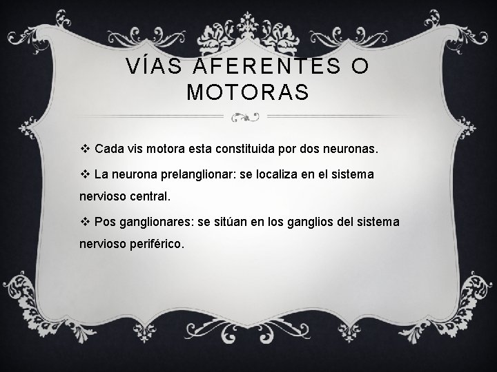 VÍAS AFERENTES O MOTORAS v Cada vis motora esta constituida por dos neuronas. v