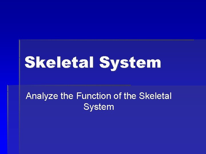 Skeletal System Analyze the Function of the Skeletal System 