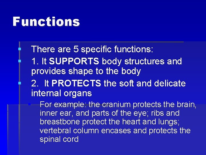 Functions § There are 5 specific functions: § 1. It SUPPORTS body structures and