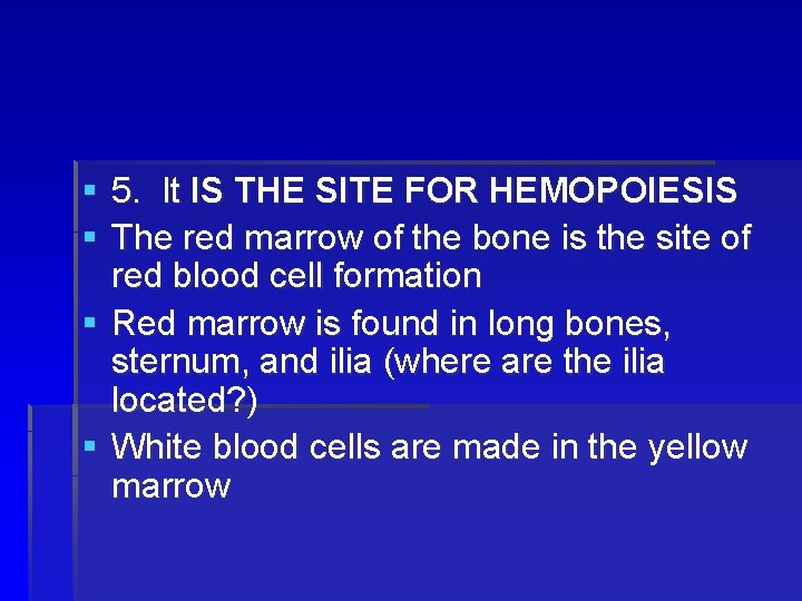 § 5. It IS THE SITE FOR HEMOPOIESIS § The red marrow of the