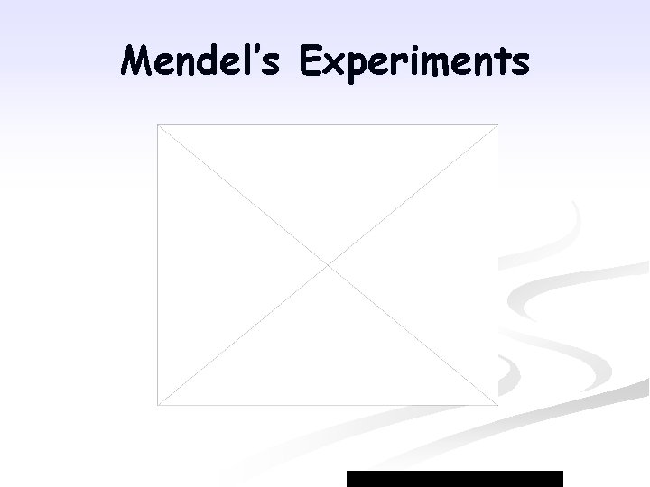 Mendel’s Experiments 