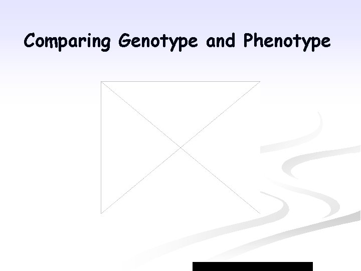 Comparing Genotype and Phenotype 