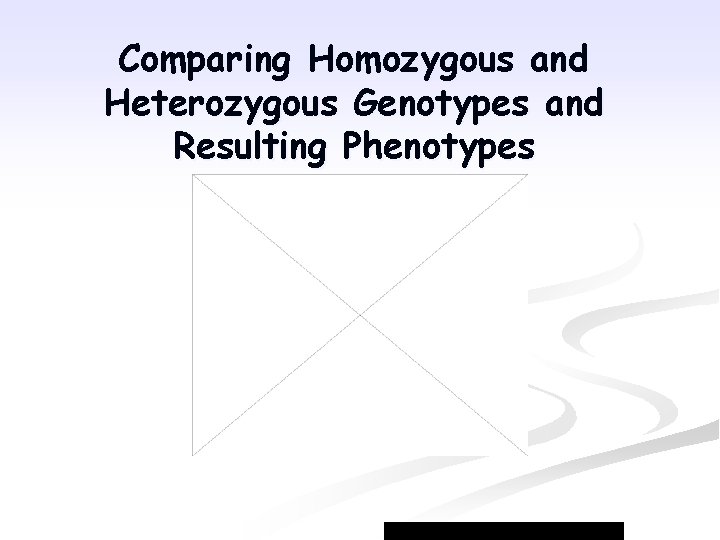 Comparing Homozygous and Heterozygous Genotypes and Resulting Phenotypes 