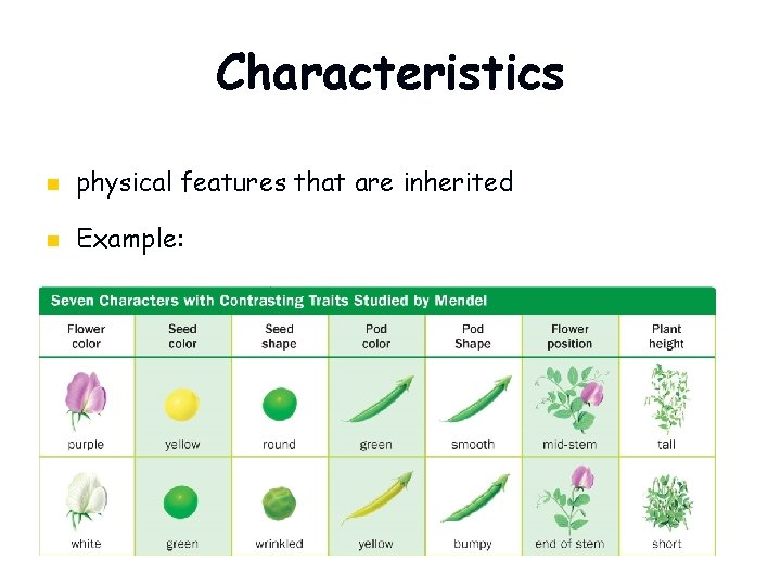 Characteristics n physical features that are inherited n Example: 