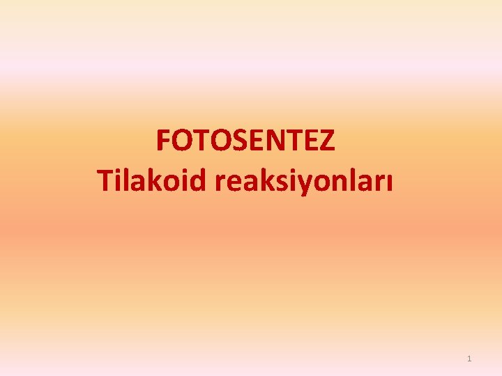 FOTOSENTEZ Tilakoid reaksiyonları 1 