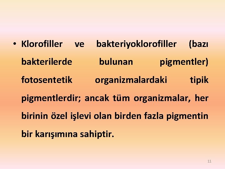  • Klorofiller bakterilerde fotosentetik ve bakteriyoklorofiller bulunan (bazı pigmentler) organizmalardaki tipik pigmentlerdir; ancak