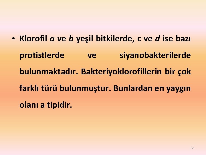  • Klorofil a ve b yeşil bitkilerde, c ve d ise bazı protistlerde