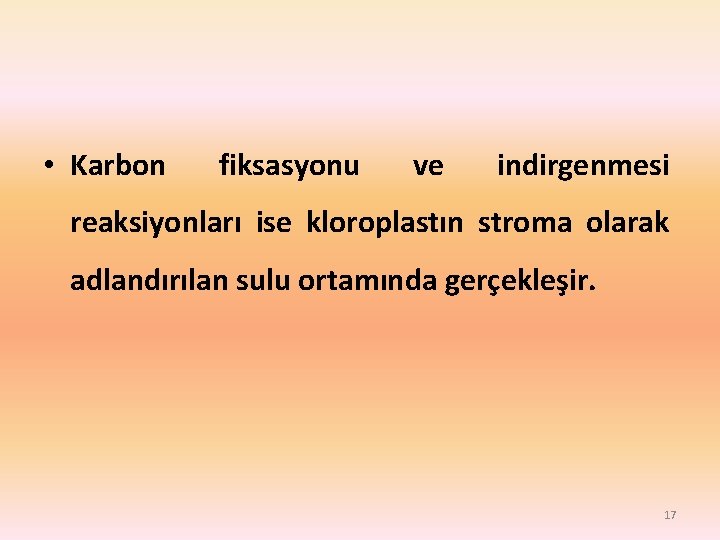  • Karbon fiksasyonu ve indirgenmesi reaksiyonları ise kloroplastın stroma olarak adlandırılan sulu ortamında