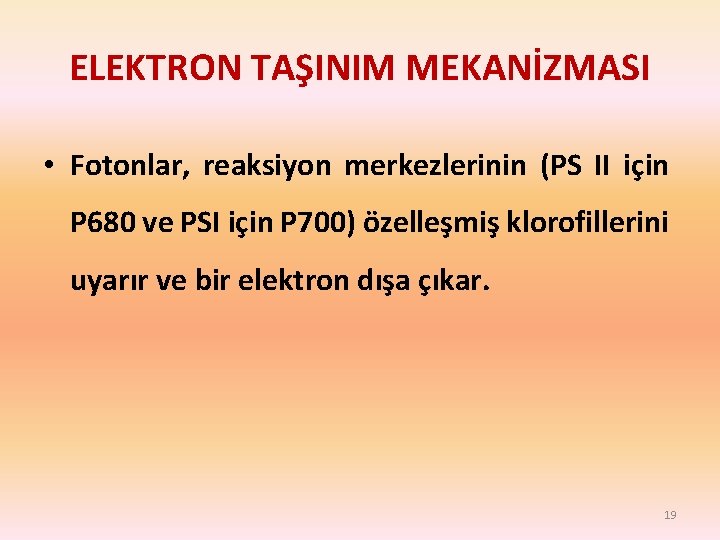 ELEKTRON TAŞINIM MEKANİZMASI • Fotonlar, reaksiyon merkezlerinin (PS II için P 680 ve PSI