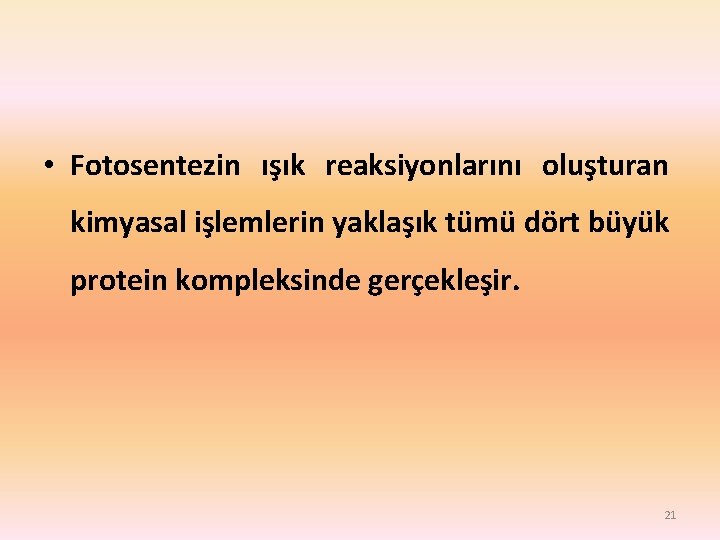  • Fotosentezin ışık reaksiyonlarını oluşturan kimyasal işlemlerin yaklaşık tümü dört büyük protein kompleksinde